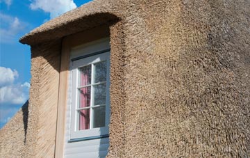 Mannofield thatch roof disadvantages